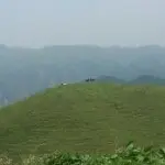 笑看人生.九哥