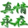 恋n1