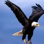 ✿✿健康是福❥．
