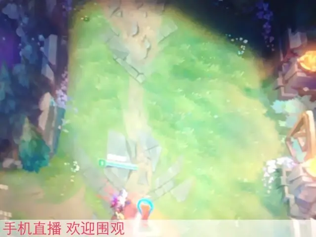 ━━━╋うMC九琦的主播照片