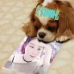 飞翔的小摩托