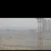 奋奋n