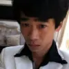 猪为什么不会上树