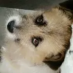 恋人手心520