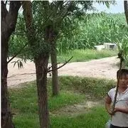 叮铛叮铛