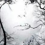 有錢認性