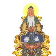 道医圣手
