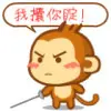 little_黄先生
