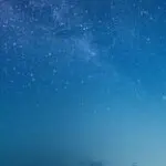 梧桐花开l