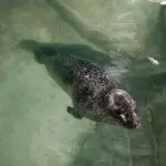 微信_2724874