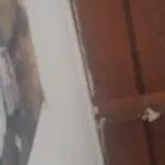 守護う我锝她
