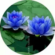 何时有春天