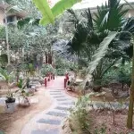 微信-889706