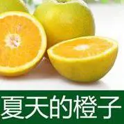 夏天的（雨）