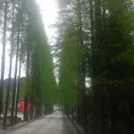9609765