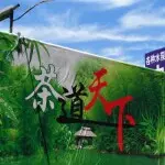 Teacher王士帅