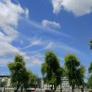 浅夏~♀