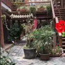 ★☆冷酷绝情☆★