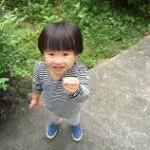 枫叶恋秋.