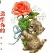 偶遇走的主播照片