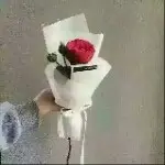 风月：暖心