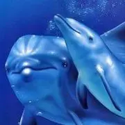 开心✿✿﹏瑜宝
