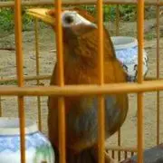 情侣装/要你陪我穿