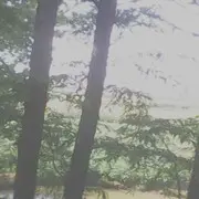 微信_0791909