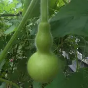 微信_朋友