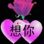 东北七哥$