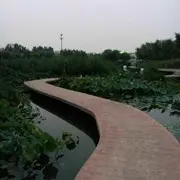 随缘_顺命