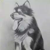 滚滚红尘华日月