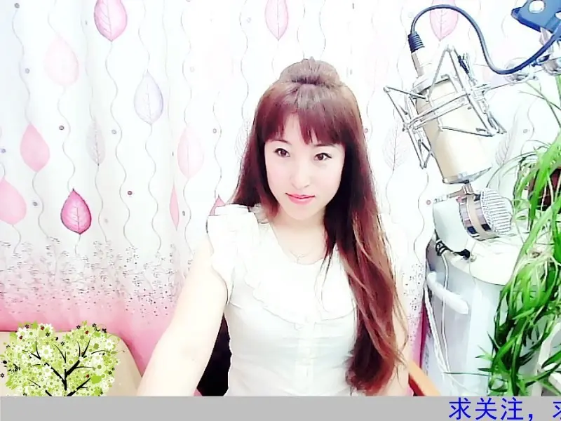 漫天梅花的主播海报