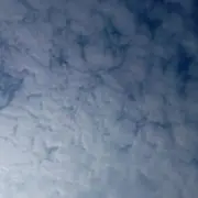 不辣不辣不错哟