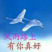 微信_2337022
