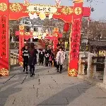 腾飞.....