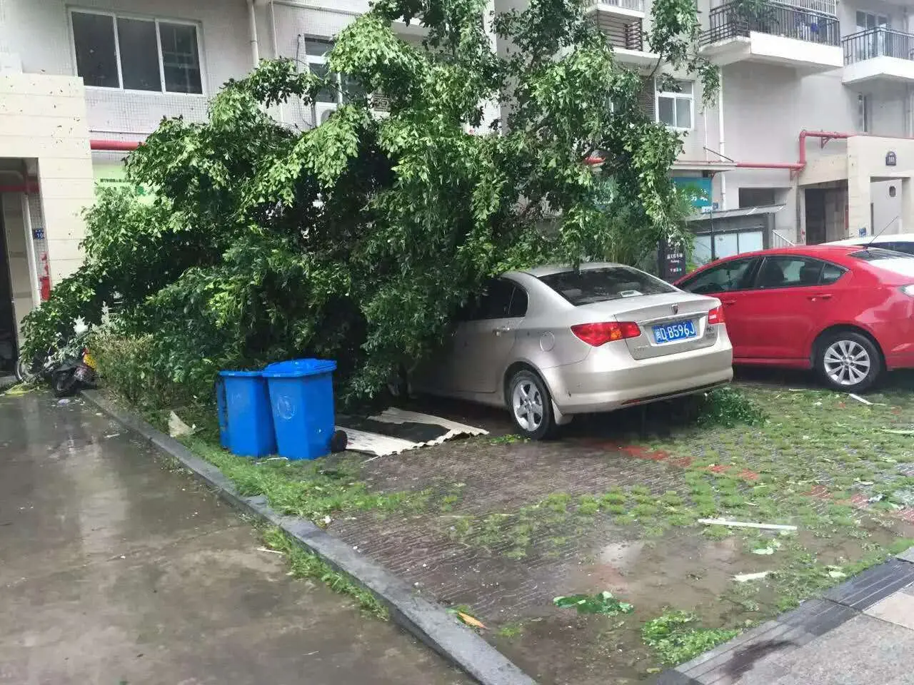 你把绝情给了动情地我的主播照片