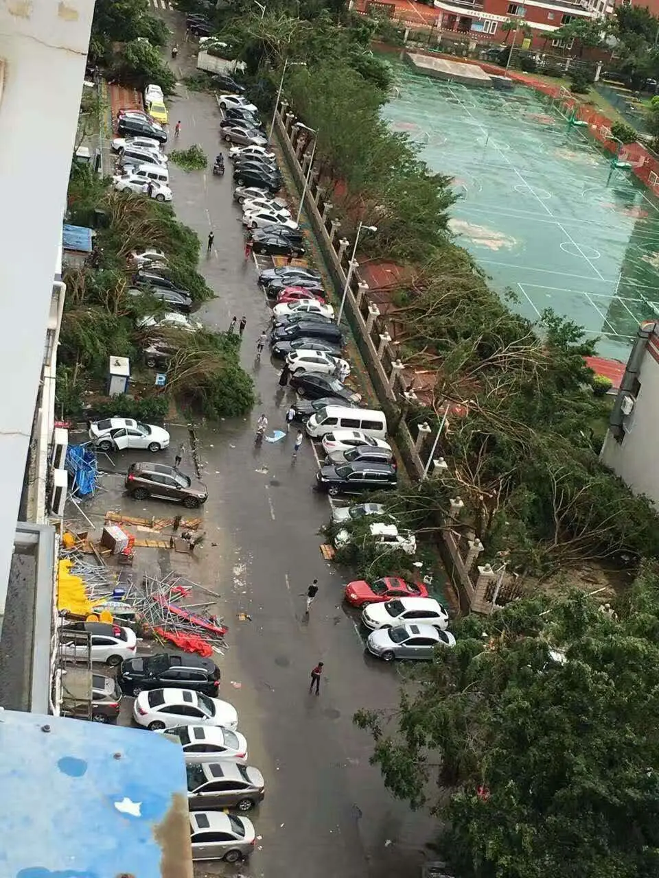 你把绝情给了动情地我的主播照片