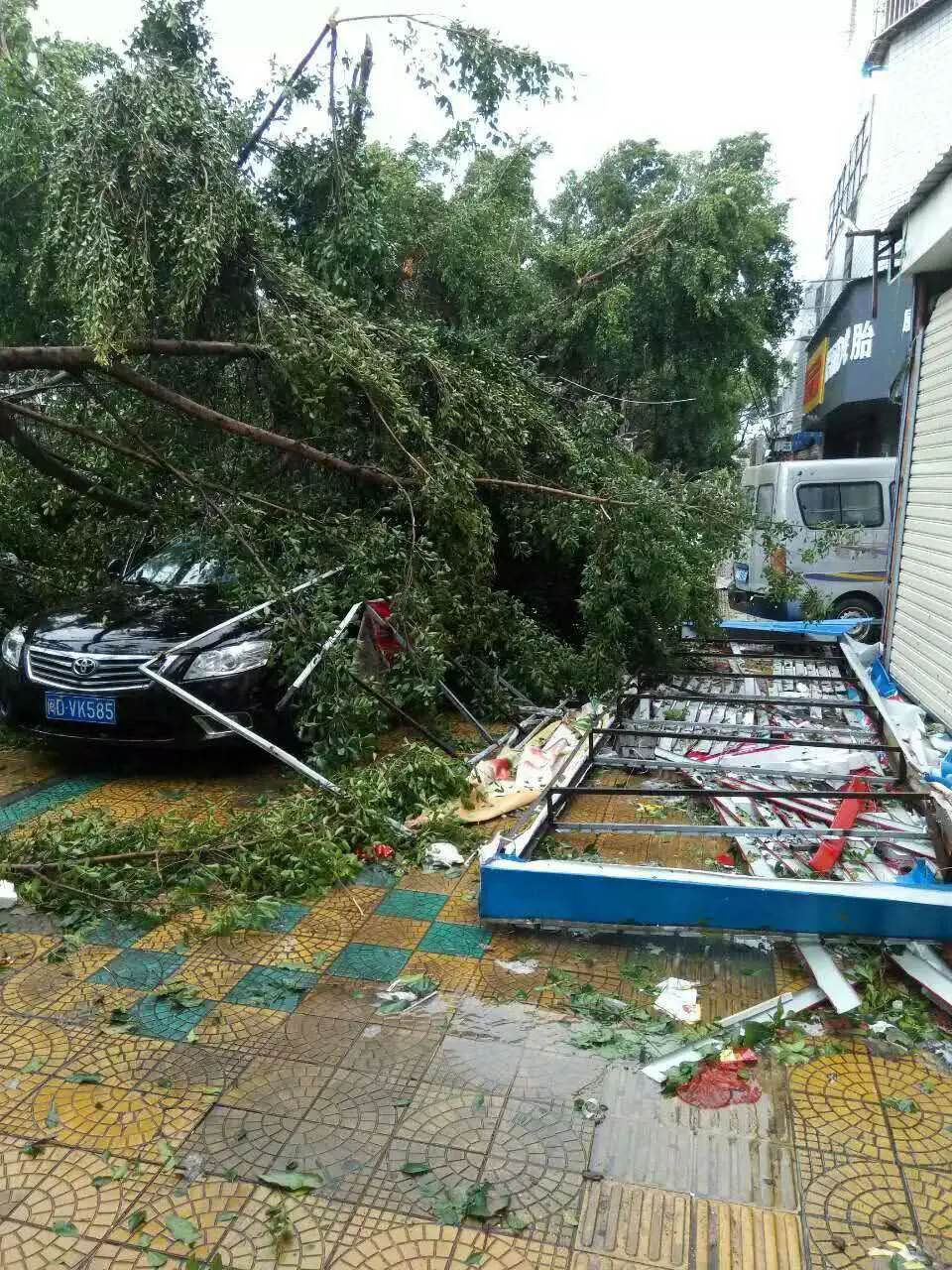 你把绝情给了动情地我的主播照片