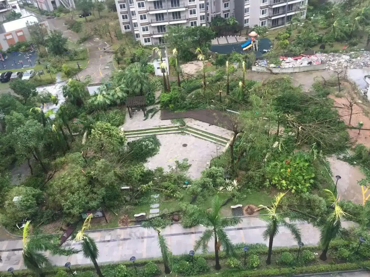 你把绝情给了动情地我的主播照片