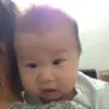 国产苹果