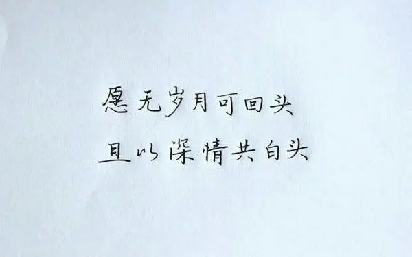 mir...雷的主播照片
