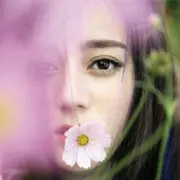 微信_4727538