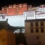 寂寞的男人xl