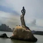 老鼠给猫当伴郎