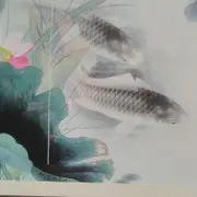 ❤暴风雨2780❤
