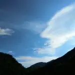 唯爱你121