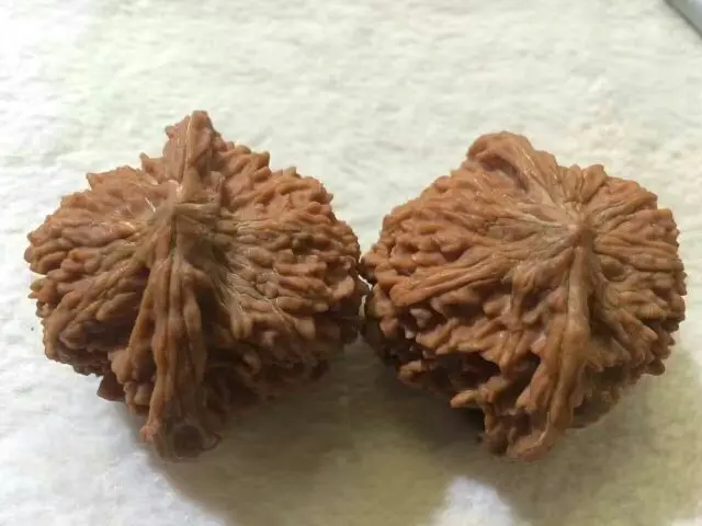 ✌天░娇妮的主播照片