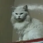 哈哈哈哈789