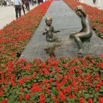 八戒你廋了吗